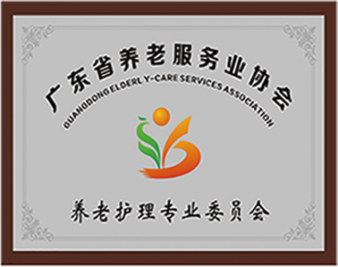 荣誉资质